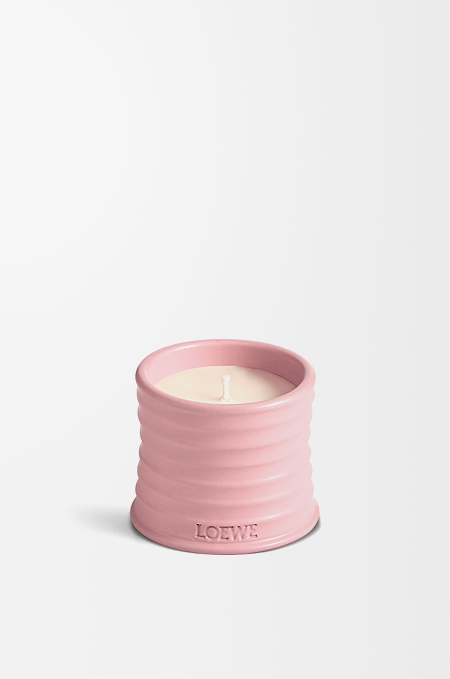 Small Ivy candle Pink - LOEWE USA Official Website