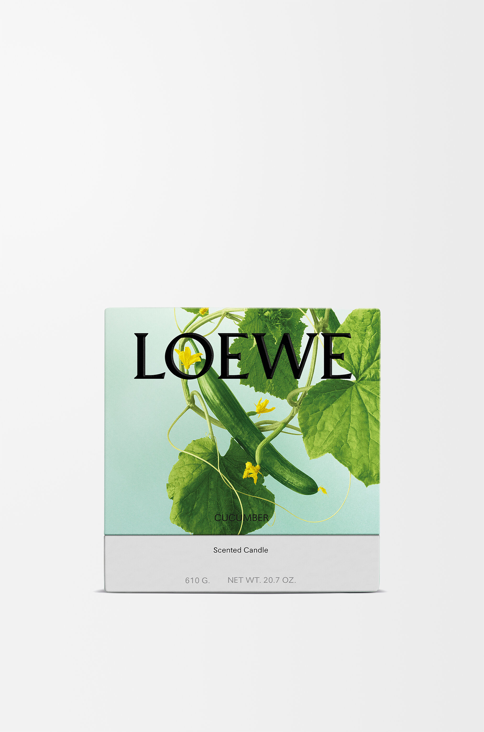 キューカンバー キャンドル ミディアム グリーン - LOEWE Japan