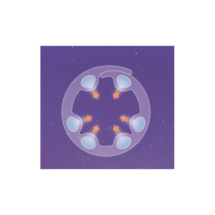 ドライヘッドスパ マドロムーン AX-HX345gr: コスメ＆ビューティー