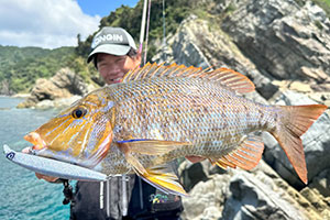 LONGIN PRODUCTS SUPER UV GINGIRA UVLAME