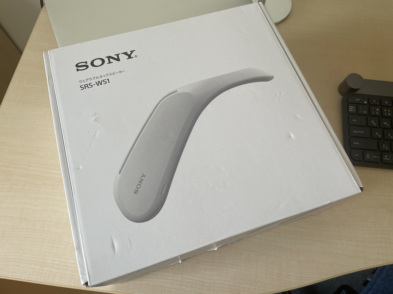 いまごろ Sony SRS-WS1 を使ってみた雑感 | hyt adversaria