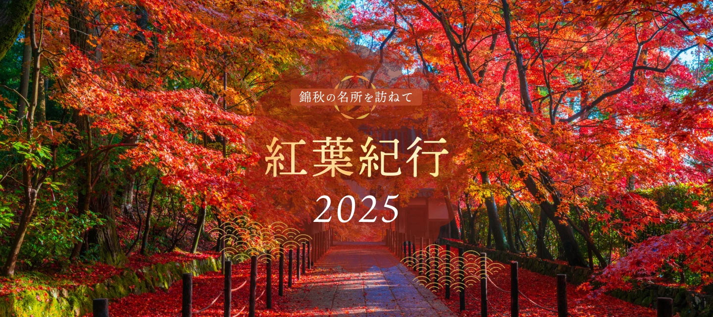 紅葉紀行2025 静岡県 修善寺 | ［公式］ラフォーレ倶楽部