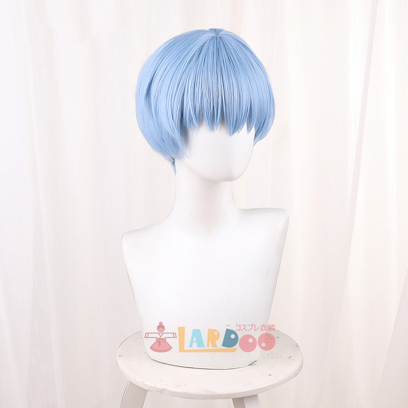 葬送のフリーレン ヒンメル コスプレウィッグ ネット付き 耐熱 cosplay