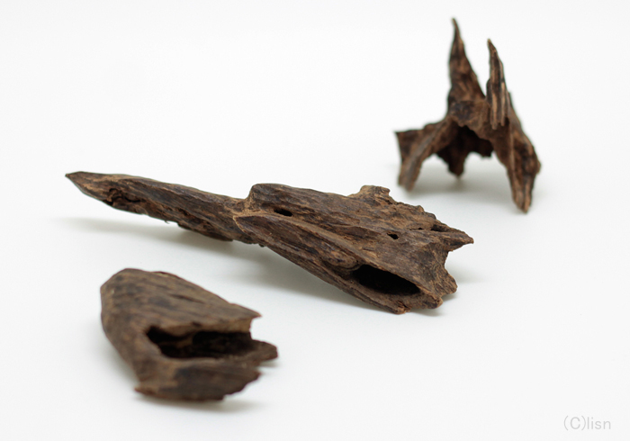 vol.7 沈香｜Lisn（リスン）