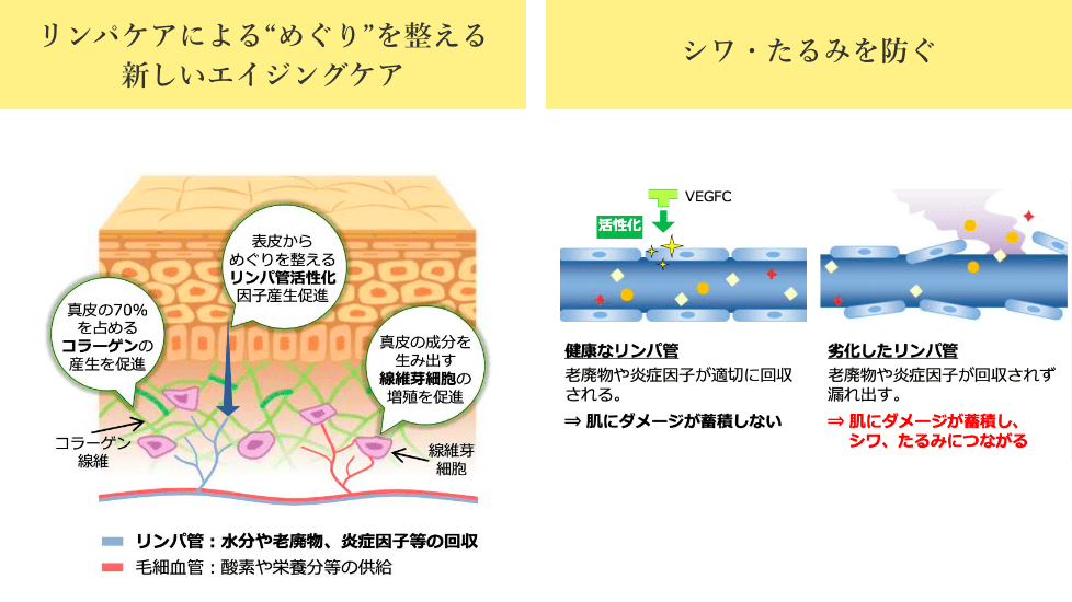 新品オールインワンDLAマッサージジェルαプラス800g詰め替え用
