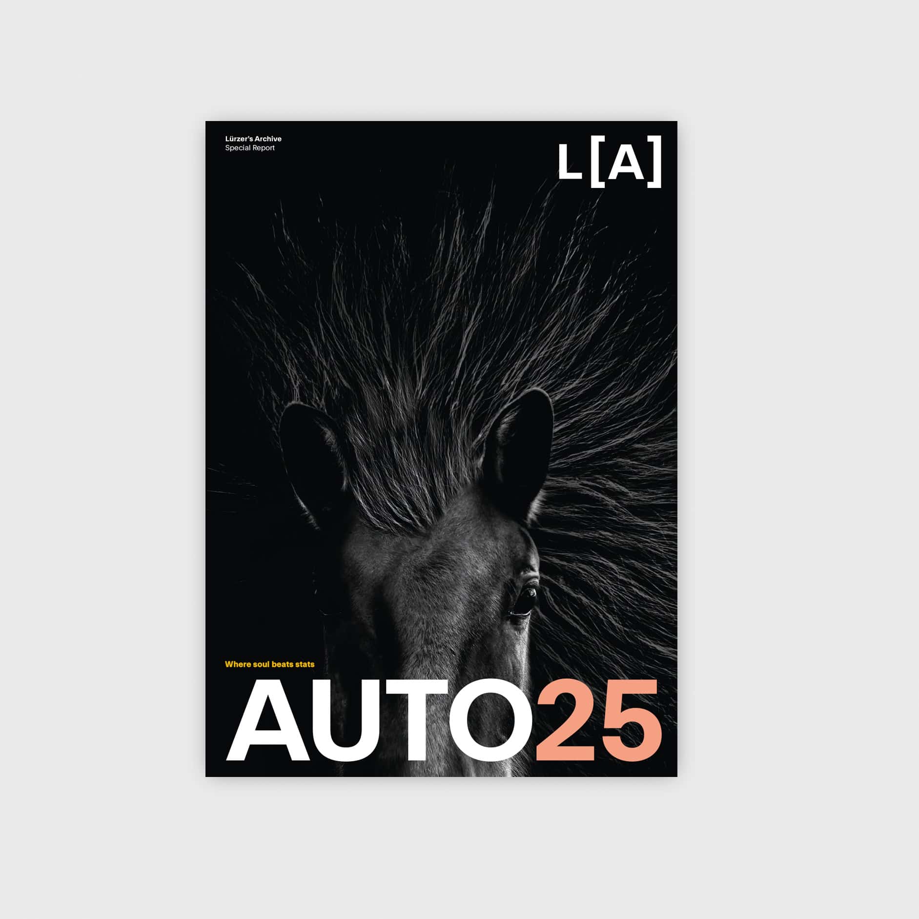 Lurzer's Archive/アーカイブ パッケージデザイン1 Magazine Archives