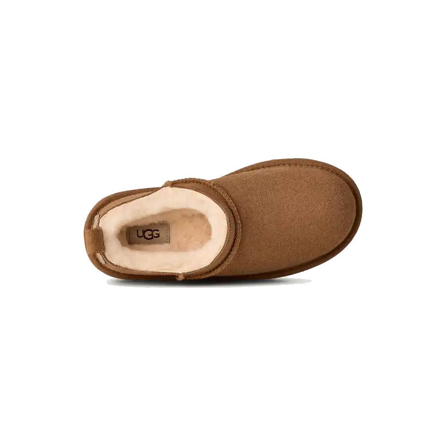 UGG CLASSIC MICRO CHESTNUT - KIDS - Lamey Wellehan Shoes