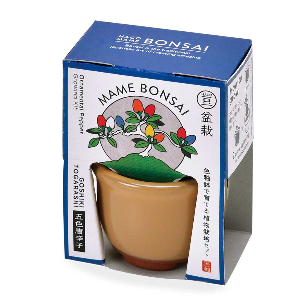 Haco Mame 豆盆栽 栽培セット 五色とうがらし／ブラウン(五色