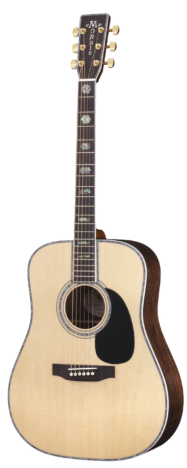 Premium | 生産完了品 | MORRIS GUITARS モーリスギター