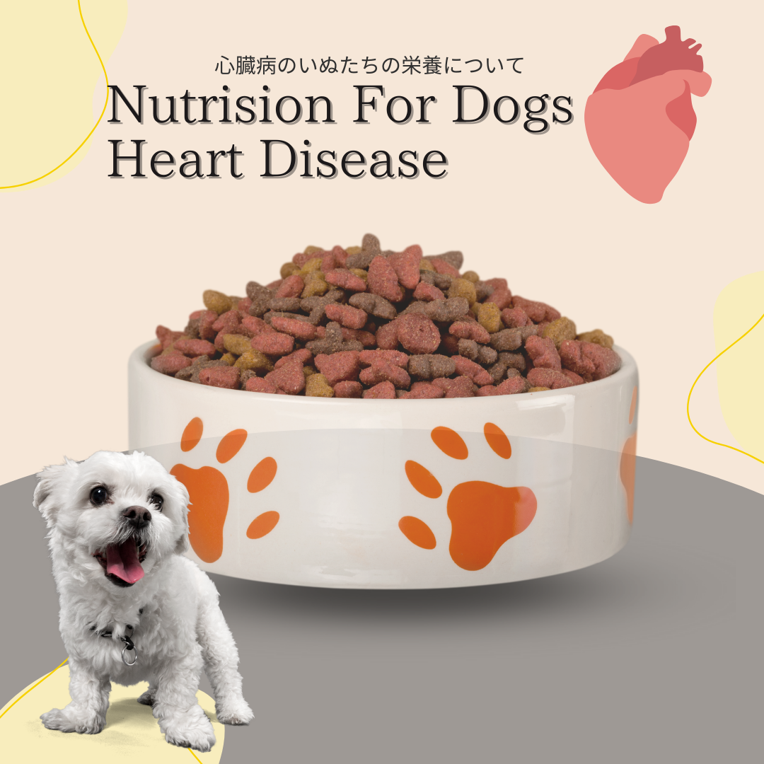 僧帽弁閉鎖不全症 栄養・食事 – 【早朝7時から対応】渋谷区代々木公園