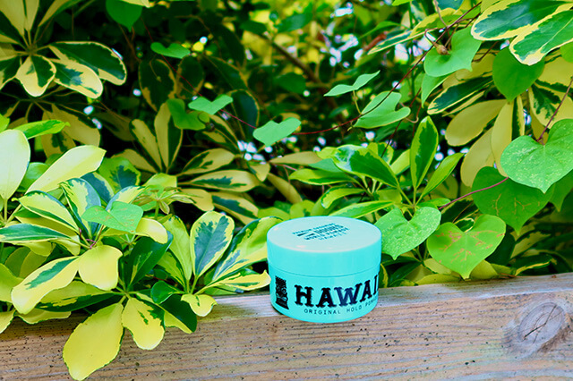 DOORS WORLD POMADE HAWAII | メンズコスメ DOORS | 香る艶、香る男