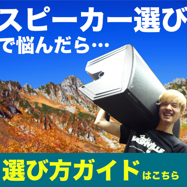 MIPRO MA-303SG ワイヤレスマイク1本セット 2.4GHzワイヤレス受信機