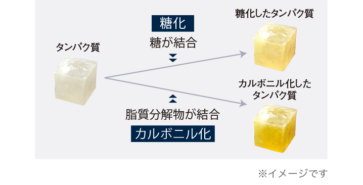 公式]美白※美容液 リプレイズホワイトニング | マキアレイベルの