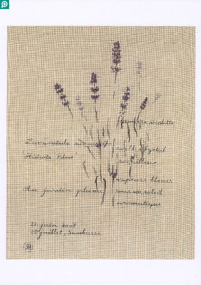 洋雑誌、洋書、輸入手芸のマガジンマート - MMブログ