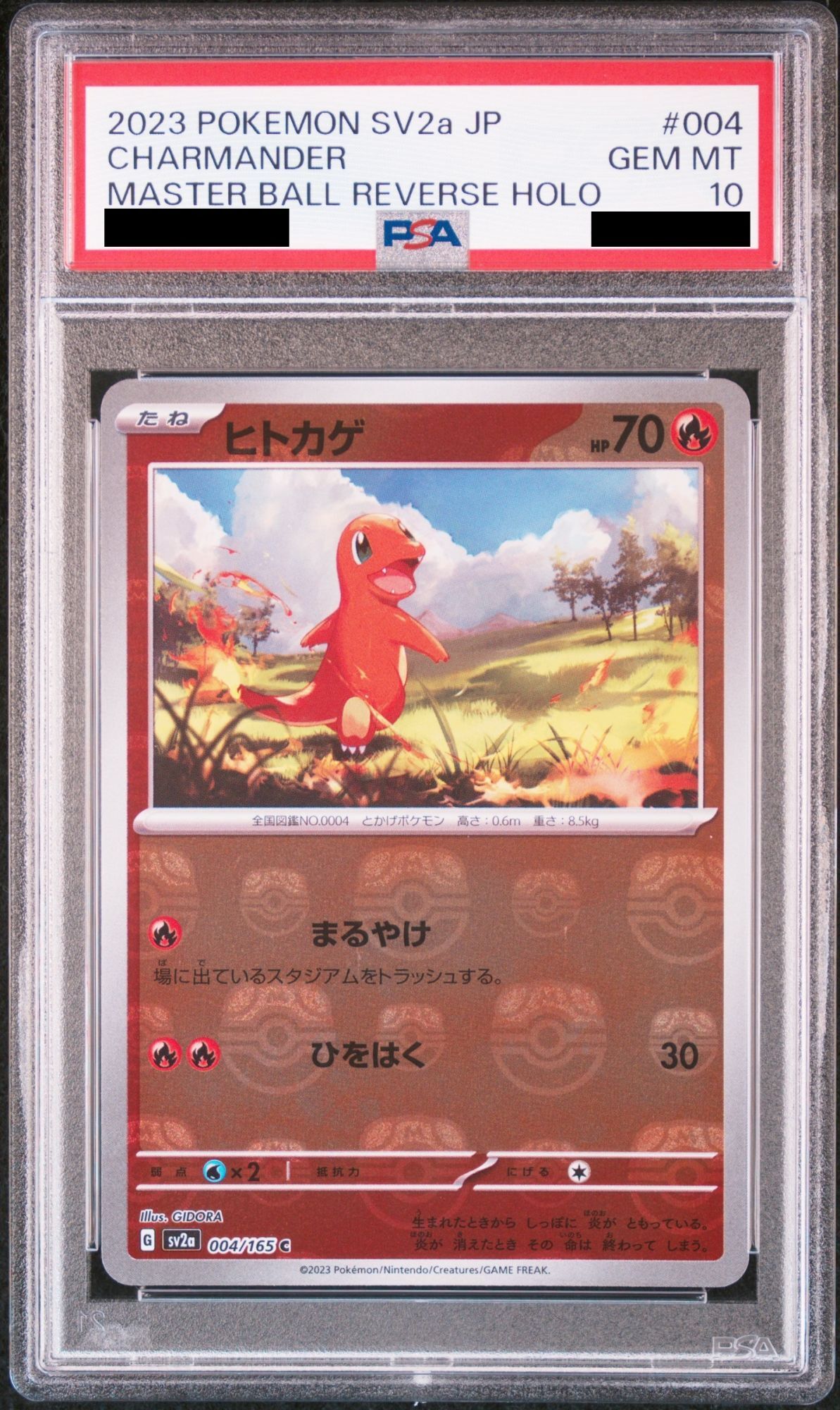 ヒトカゲar PSA10 151 PSA10 連番フシギダネ ヒトカゲ ゼニガメ AR