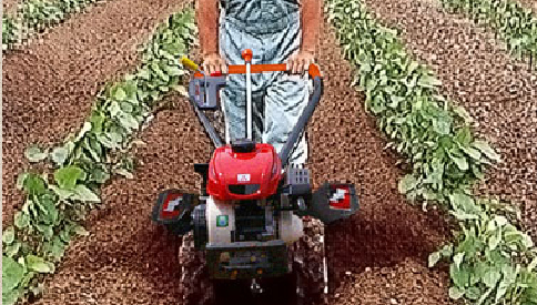 管理作業（中耕・除草・土寄せ）｜⑧ ミニ耕うん機の役割｜はじめよう