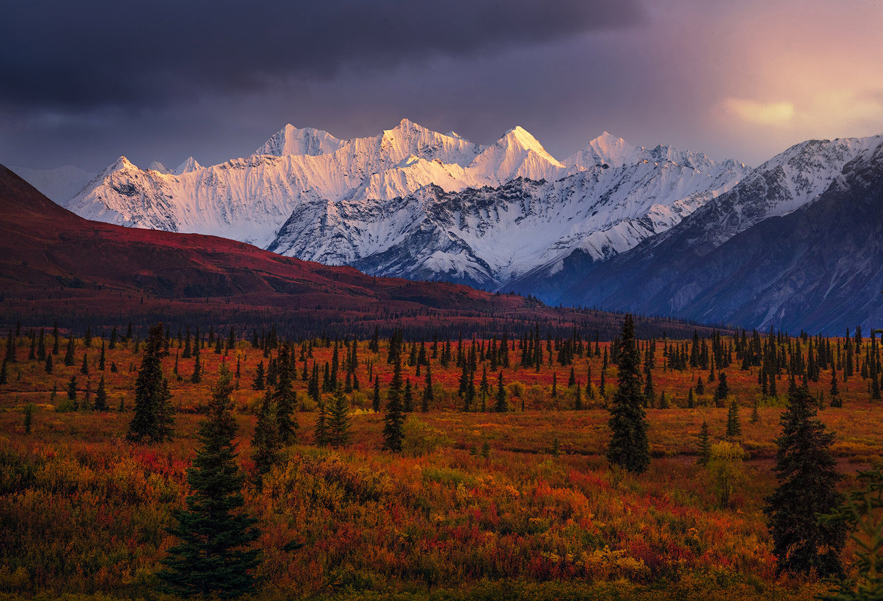 Fall Glow | Alaska | Marc Adamus Photography