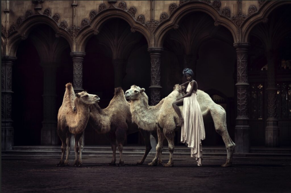 Senza Parole | Marc Lagrange