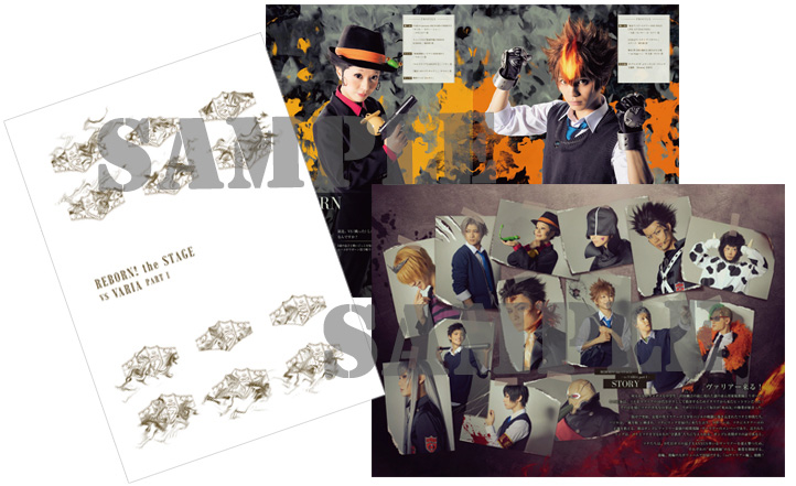 家庭教師ヒットマンREBORN!』the STAGE