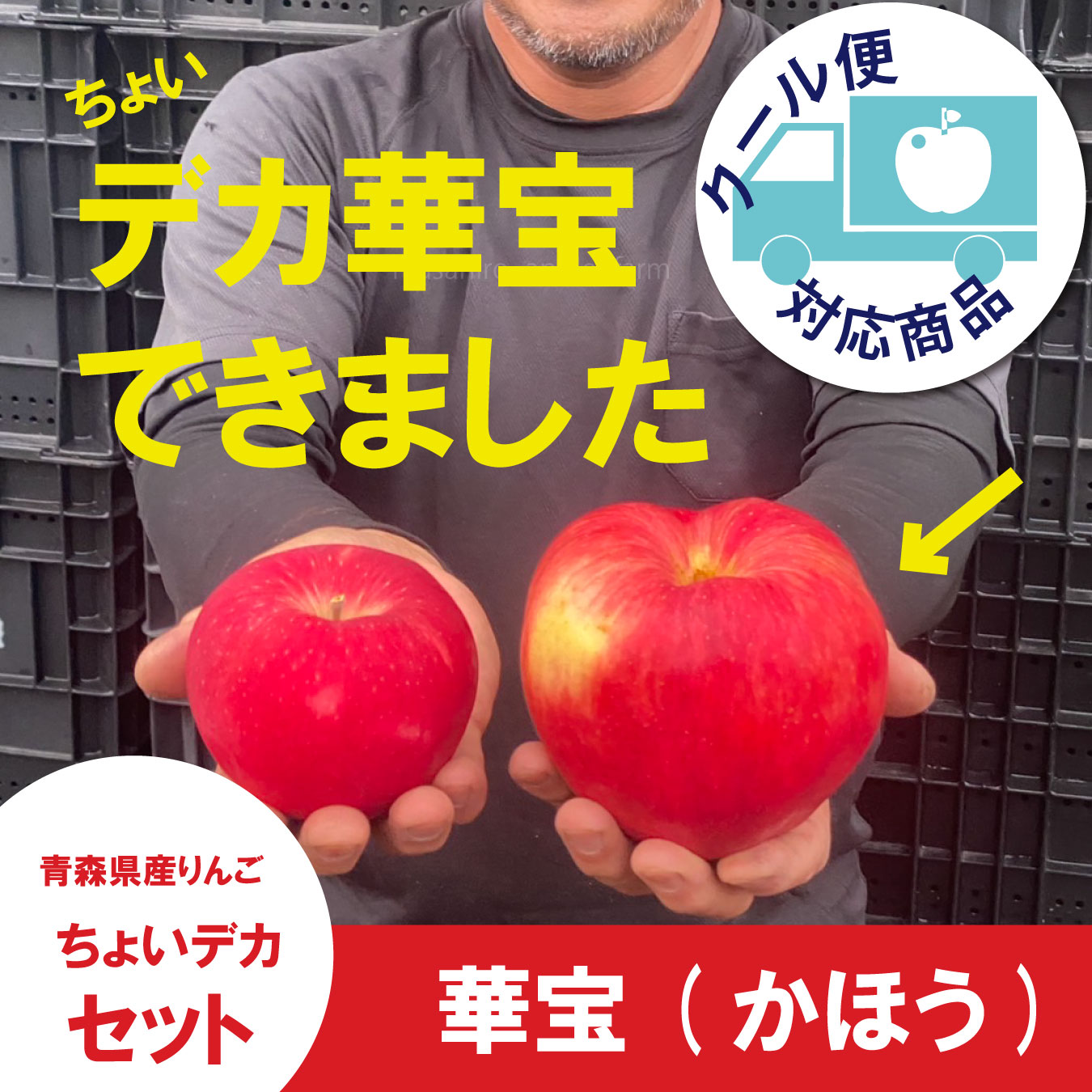 華宝【家庭用3kg】｜まさひろ林檎園