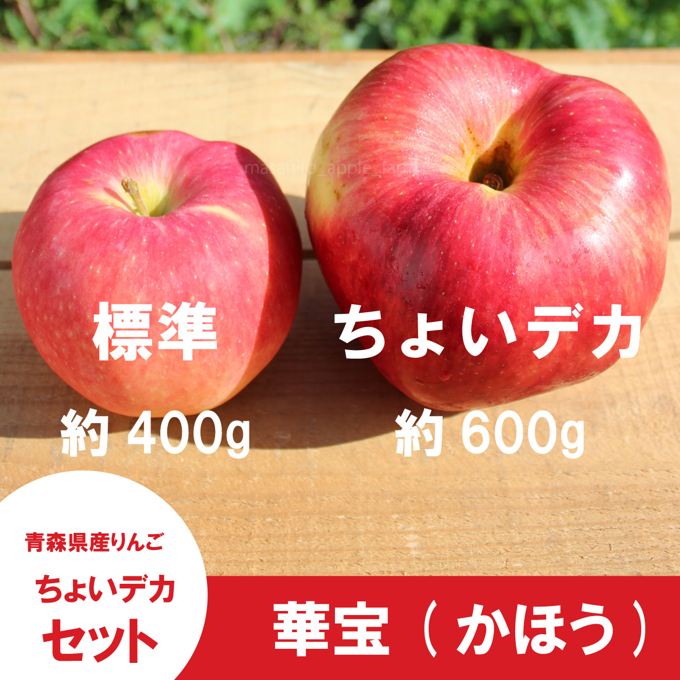 華宝【家庭用3kg】｜まさひろ林檎園