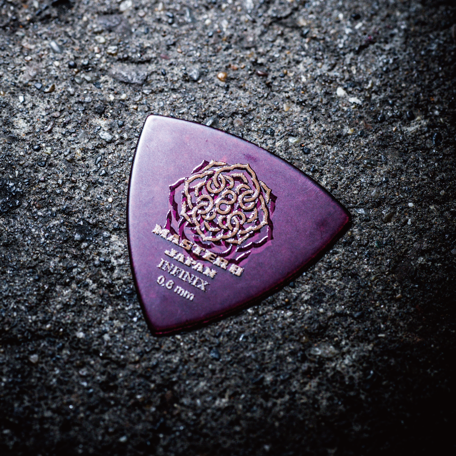 SPF_IFHP_TR06__1.png?v=