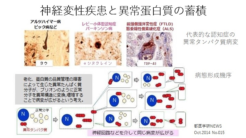 神経疾患と多職種連携 | ますずがわ神経内科クリニック｜三重県鈴鹿市