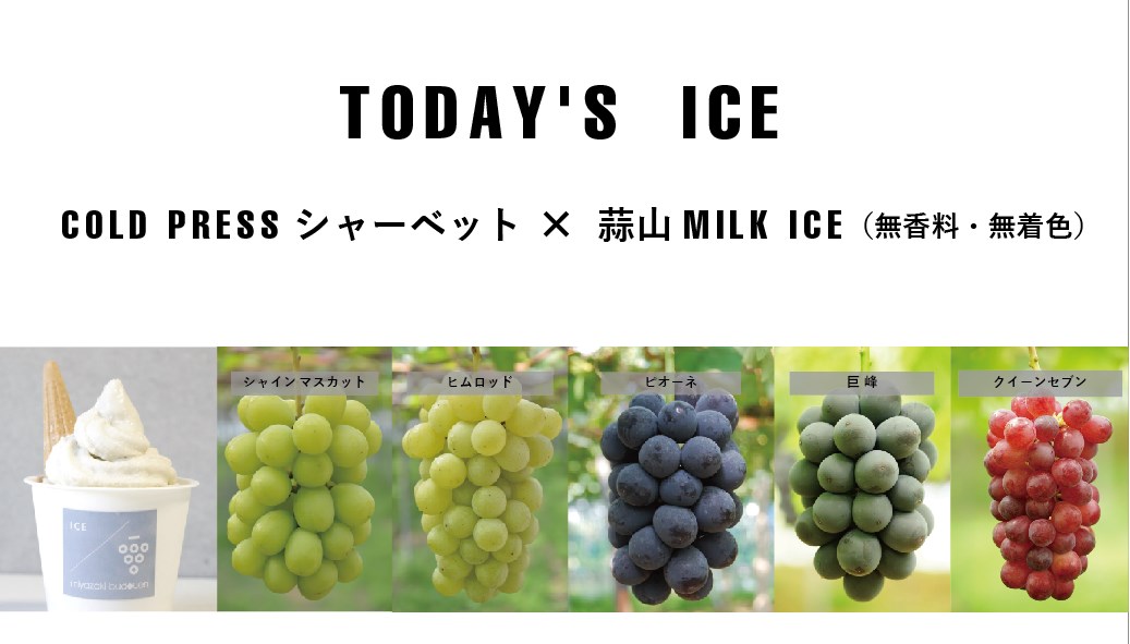 9/1（日） 収穫品種 11品種 ｜ 宮﨑ぶどう園高岡市と砺波市の境に位置