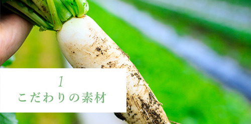 マジョール |MAJOR RIPLA(リプラ) 500ml