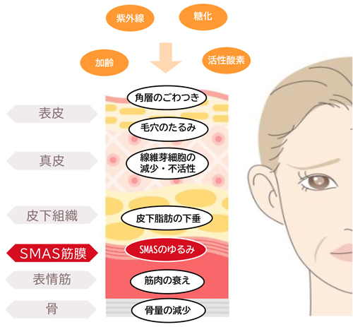 マッコイ | ノンFスキンケア ローション 120ml
