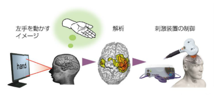 製品：使用目的別