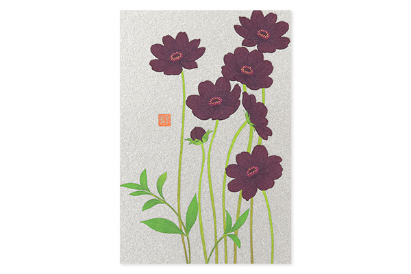 ハガキ/ポストカード｜紙シリーズ｜ポストカード チョコレートコスモス
