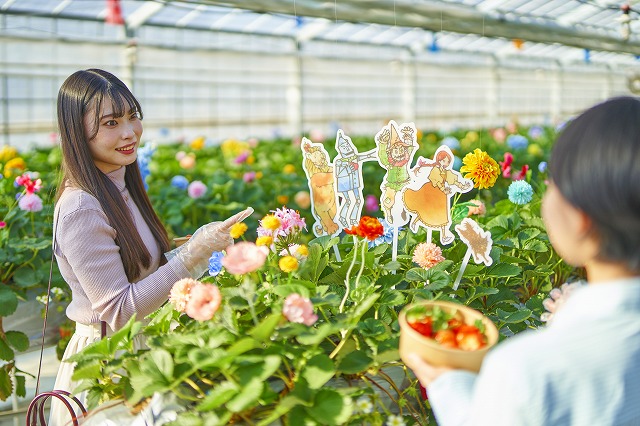 オズの国のストロベリーハント2023 - 京成バラ園 - Keisei Rose Garden