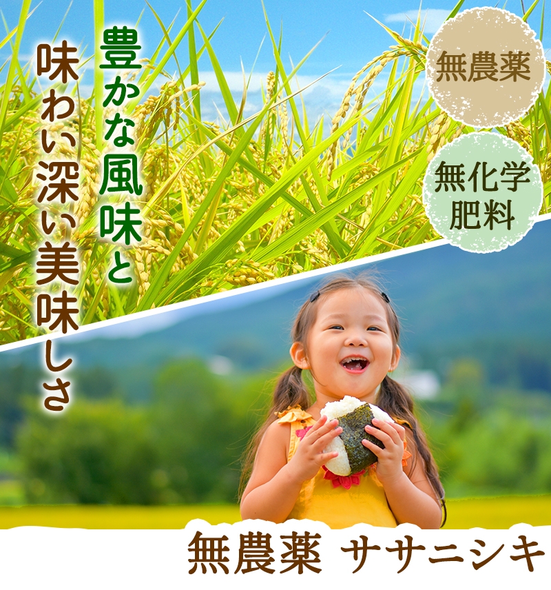 無農薬・無化学肥料 ササニシキ 令和7年 福井県産 特別栽培米