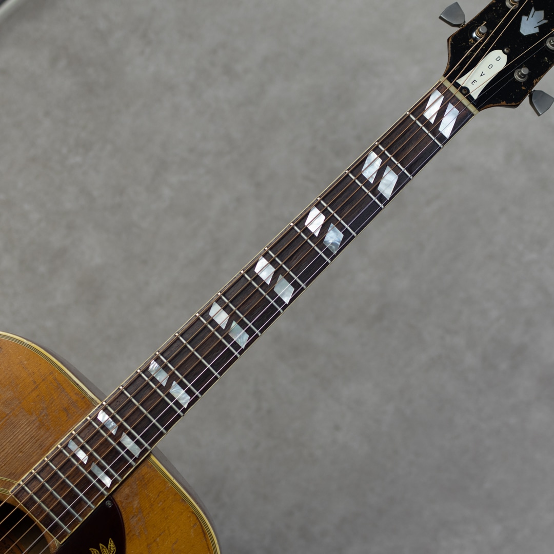 Dove / 1968: アコースティックギター｜三木楽器公式通販サイト