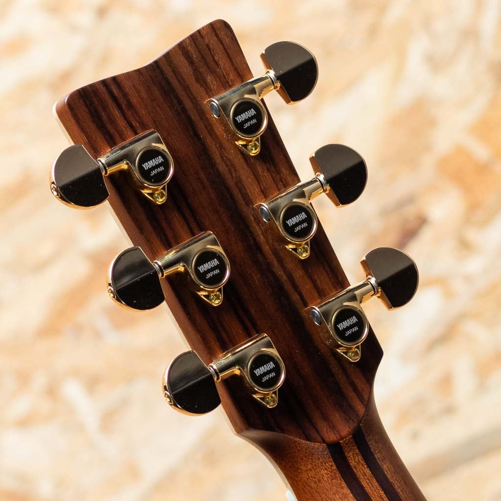 LS36 ARE: アコースティックギター｜三木楽器公式通販サイト