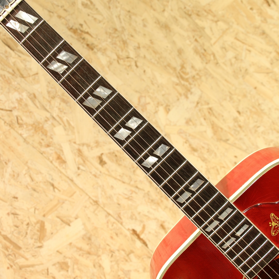 Hummingbird Maple Dark Cherry Burst 1963: アコースティックギター