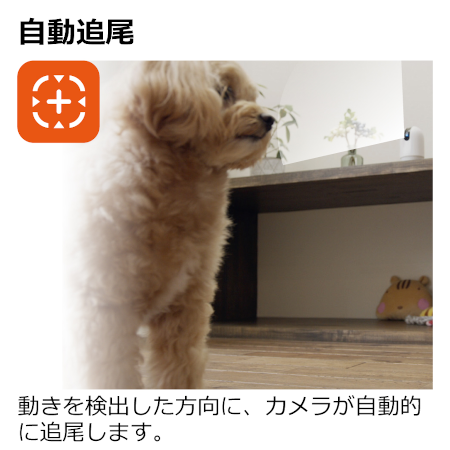 リッチェル 見守りカメラ LOOK 【送料無料】｜みんなのペット健康専門店