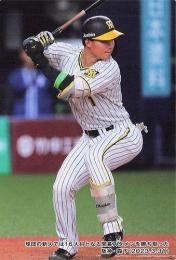 ミントモール / MINT BASE店 (TCシングル通販) / 2023 カルビー プロ