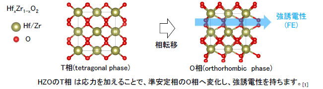 MST｜有限要素法による強誘電体キャパシタ金属(TiN, W, Pt)/HfxZr1-xO2