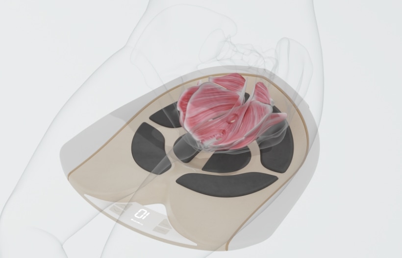 シックスパッド ペリネフィット(Perine Fit) 骨盤底筋専用EMS | SIXPAD