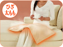 遠赤蒸しマットウルモ | 健康商品ラインナップ | 商品情報 | MTG - 私