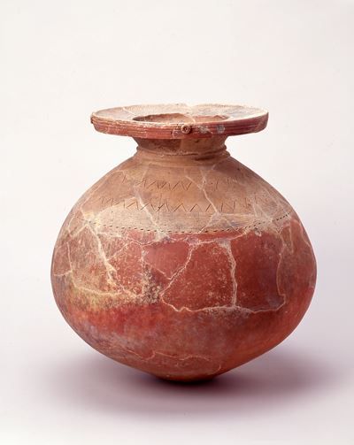 大喜梅林遺跡・欠上貝塚出土のパレススタイル壺｜名古屋市博物館