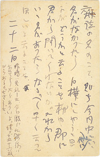 調布市武者小路実篤記念館 | 資料室 | 所蔵資料から