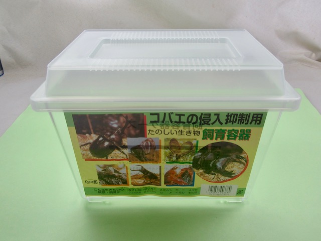 クワガタ、カブトムシ用コバエ防止飼育ケース小サイズの販売/クワガタ