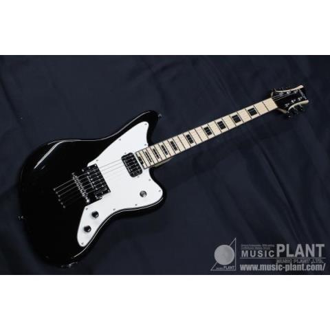 SCHECTER Progauge Artistシリーズ エレキギターPA-SW/KA KAZUKIモデル