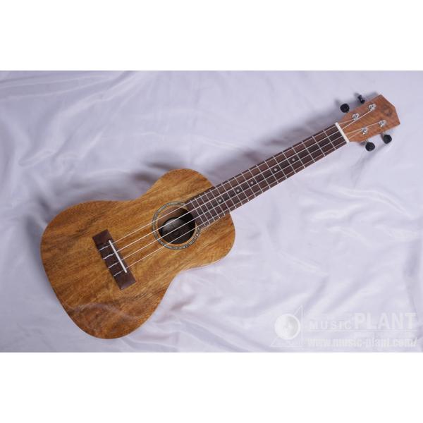 Dream Comes True (DCT) 全商品一覧 | MUSIC PLANT WEBSHOP