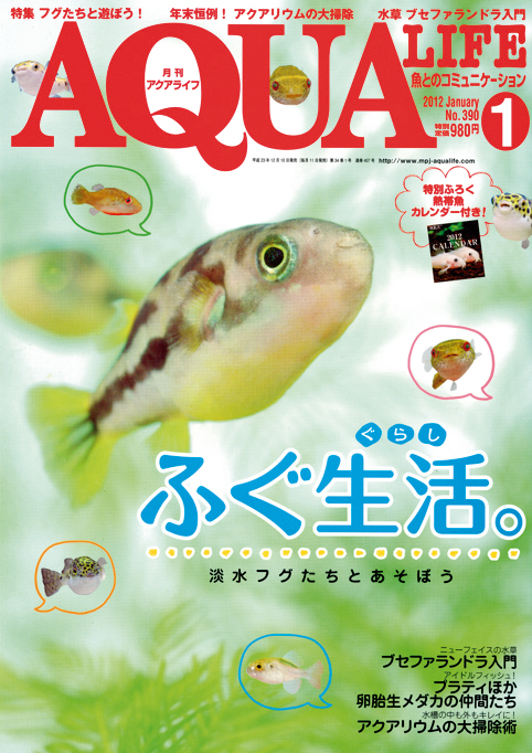 月刊アクアライフ2012年バックナンバー一覧 ｜ エムピージェー