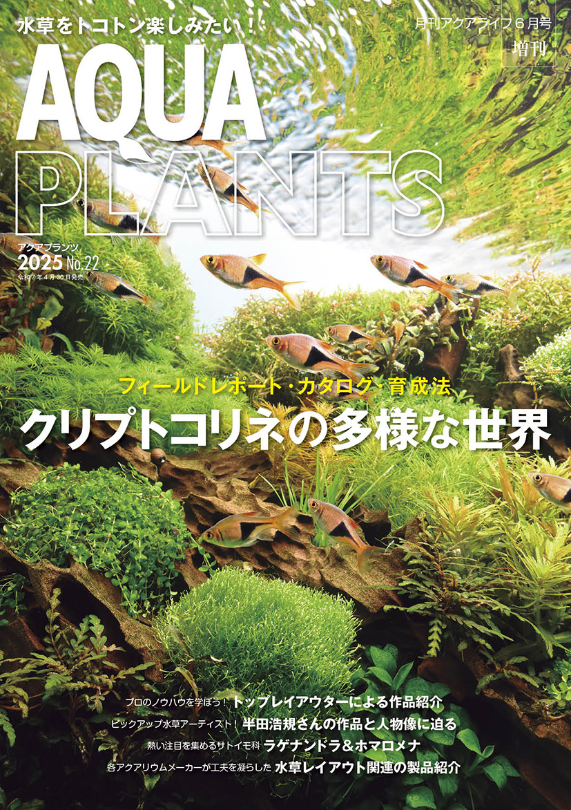 水草専門誌 アクアプランツ2025 No.22は2025年4月30日発売