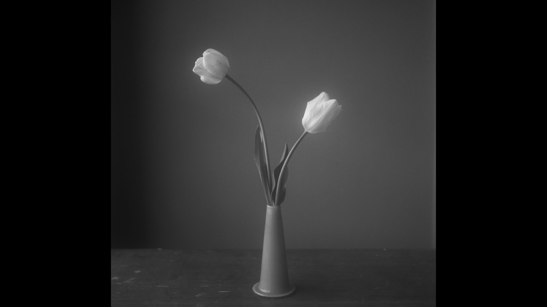 8月-10月、事業構想学部卒業生の長谷川尚子作品展「UNCERTAINTY/ゆらぎ